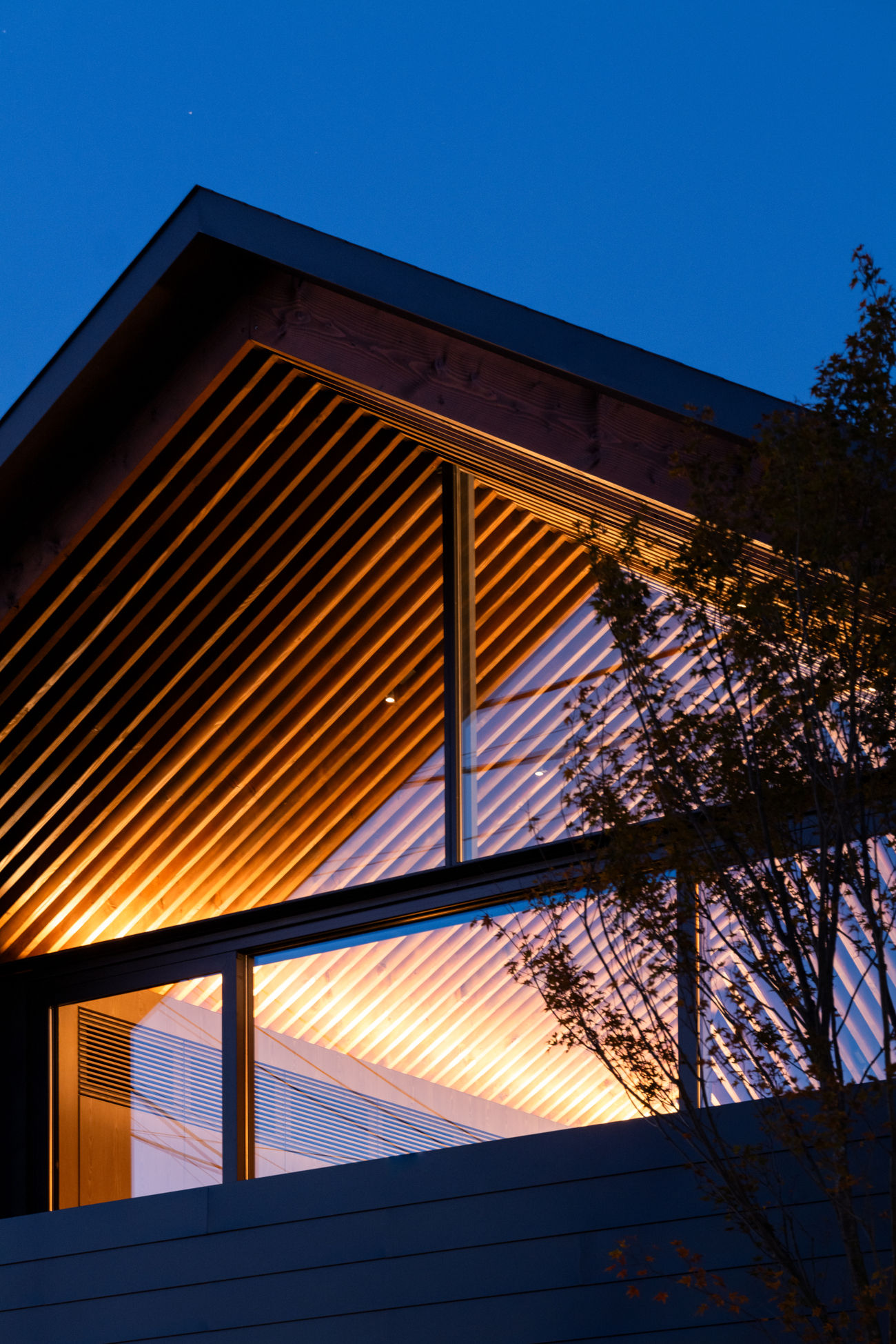 Le49Ⅱ_Night | APOLLO Architects & Associates | 建築家 黒崎